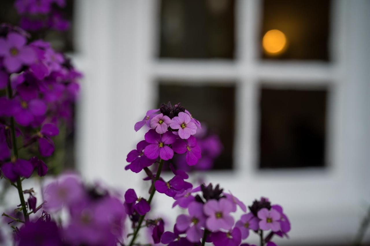 Findon Manor Hotel Екстериор снимка